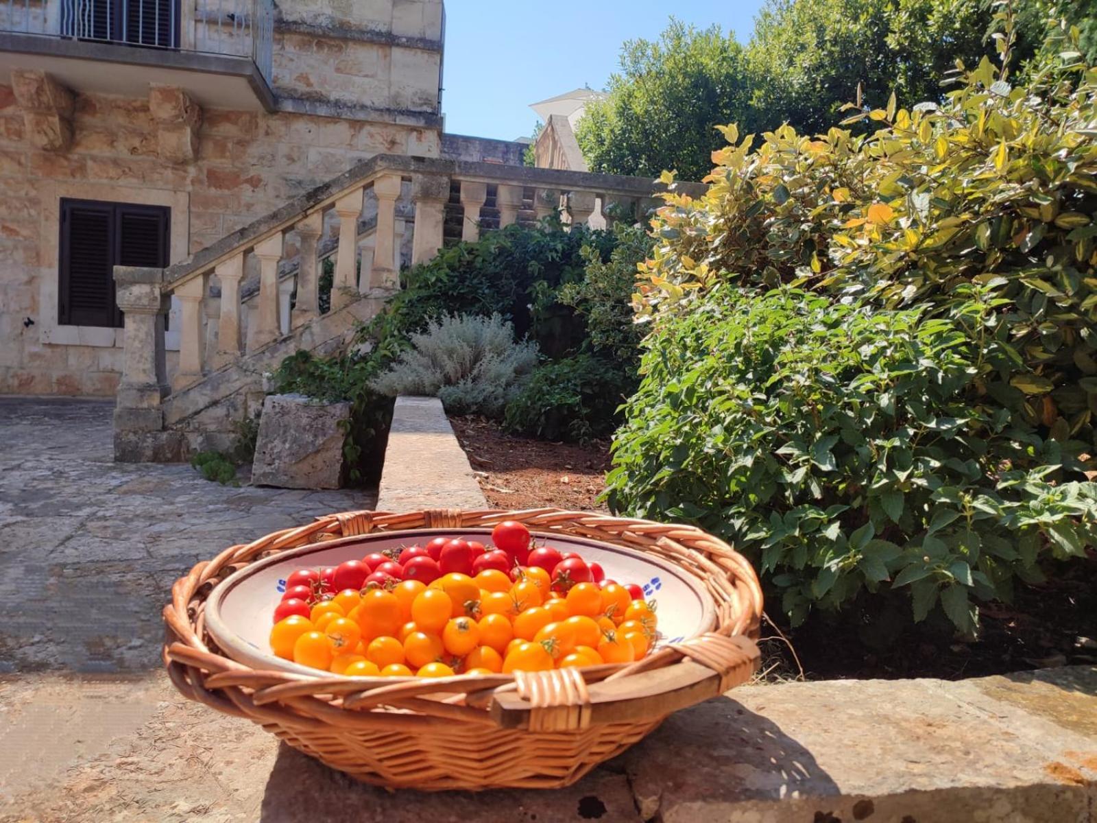 Villa Ostuni Monopoli Εξωτερικό φωτογραφία